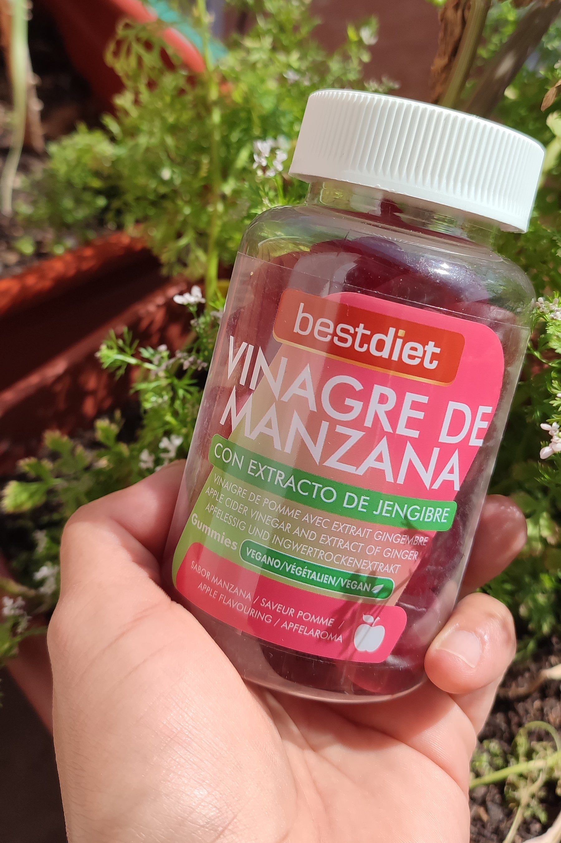 beneficios-gomas-vinagre-manzana-pedido-real